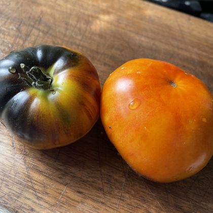 Lucid Gem tomato fruit - photo 8