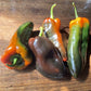 Oak Summit 2026 Poblano pepper - photo 5