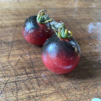 Just Can't Get Enough tomato fruit - photo 6