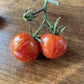 Rebel Scum Wookie Balls tomato fruit - photo 6