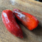 Oak Summit 2026 Poblano pepper - photo 8