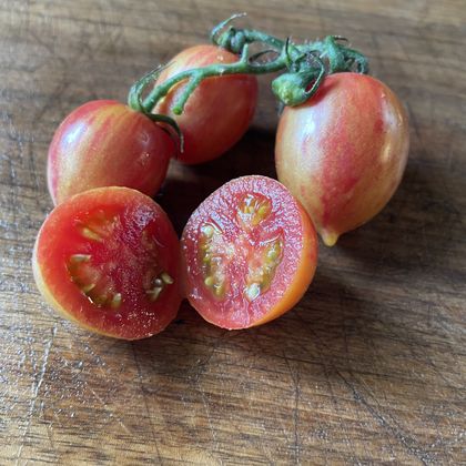 Candy Sweet Icicle tomato fruit - photo 9