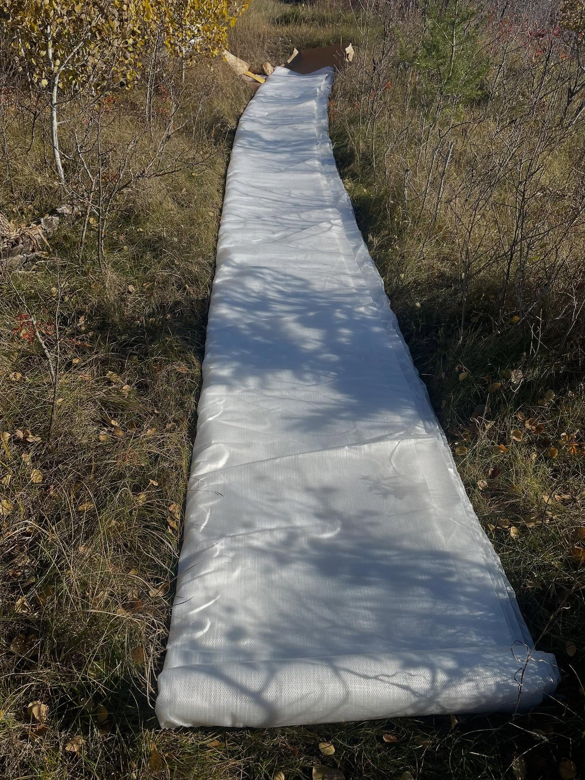 14mm woven greenhouse poly, rolled out and installed, image 3 of 4