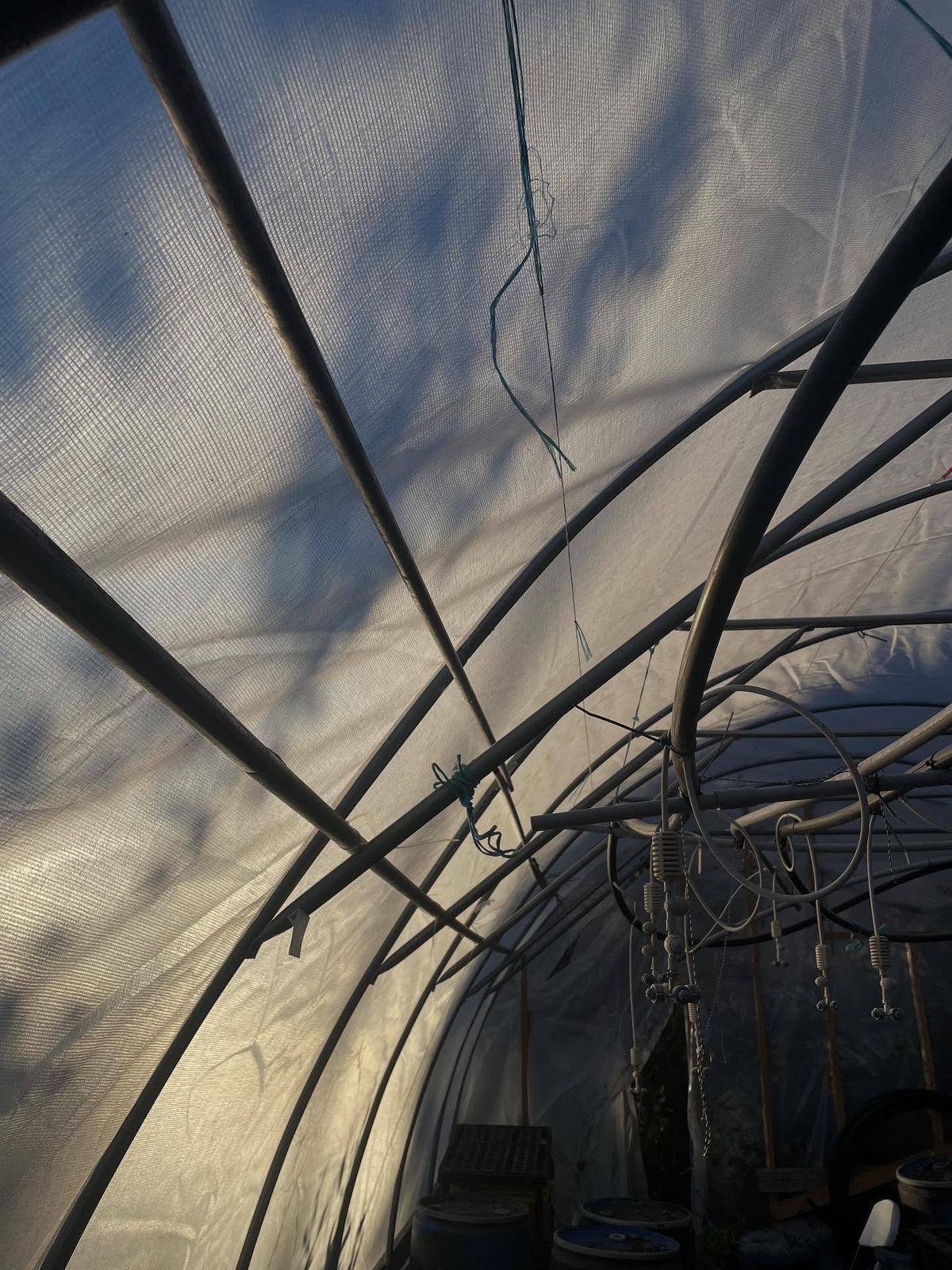 14mm woven greenhouse poly, rolled out and installed, image 4 of 4