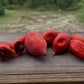 Himalayan Mayapple red fruit after seed collection