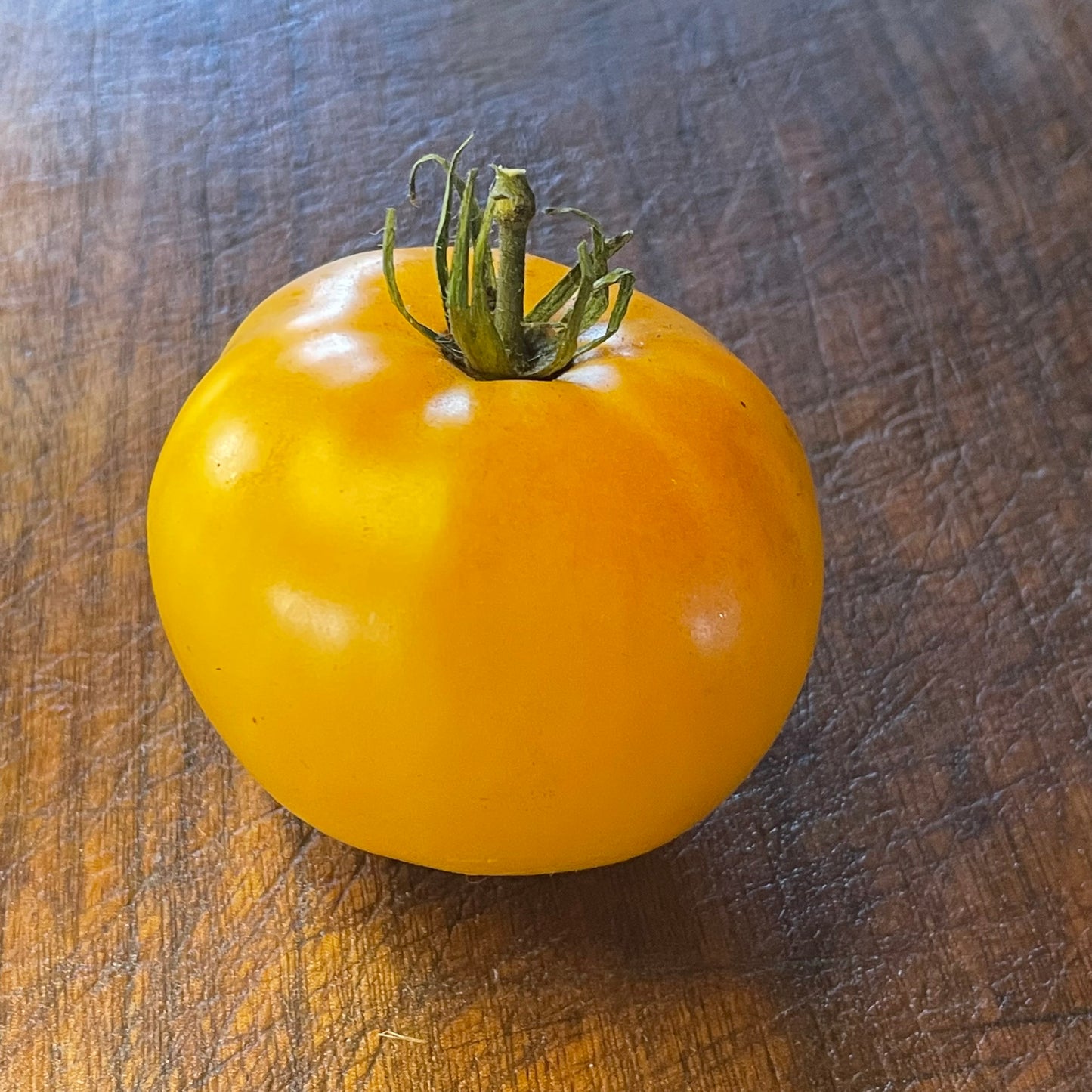 Amana Orange - Semillas de tomate - Tomate tradicional - Más de 25 semillas