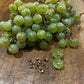 Brianna Grape (Vitis labrusca x Vitis vinifera) - Green Grape - Zone 3