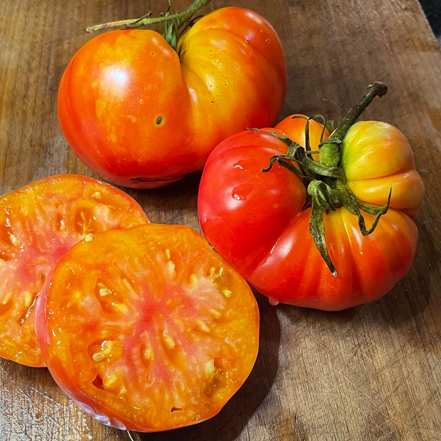 Northern Lights - Tomato Seeds - Heirloom Tomato - 25+ Seeds