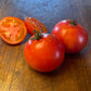 Abe Lincoln - Tomato Seeds - Heirloom Tomato - 25+ Seeds