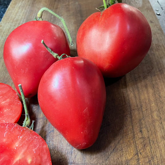 Semillas de tomate Bull's Heart - Tomate tradicional - Más de 25 semillas