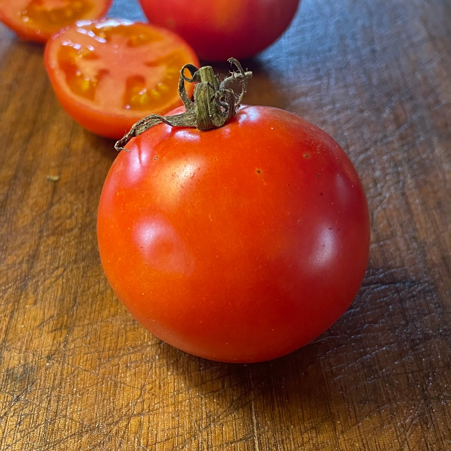 Abe Lincoln - Tomato Seeds - Heirloom Tomato - 25+ Seeds