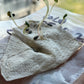 Jerusalem Artichoke Seeds (Helianthus tuberosus, Sunchoke) - 15+ Seeds