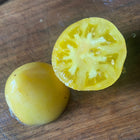 
Dwarf Lemon Ice