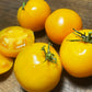 Kellogg's Breakfast - Tomato Seeds - Heirloom Tomato - 25+ Seeds