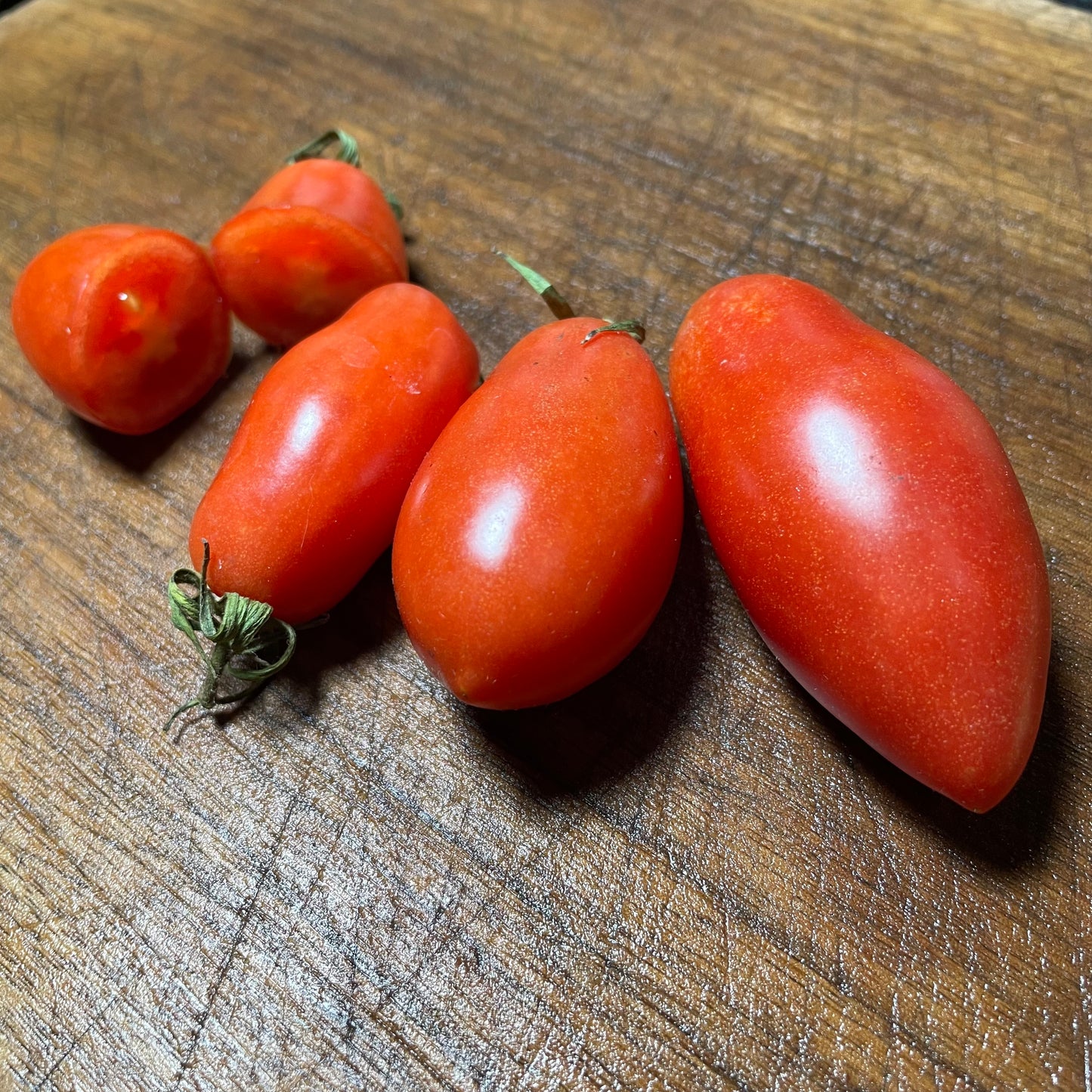 Graines de tomates San Marzano - 25+ graines