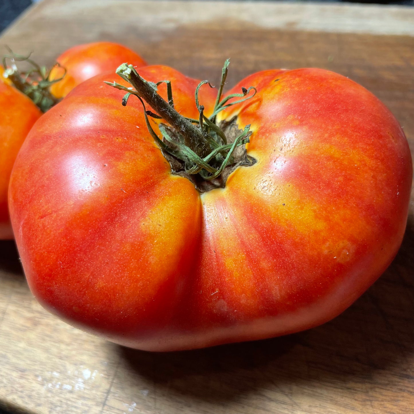 Northern Lights - Graines de tomates - Tomates anciennes - 25+ graines