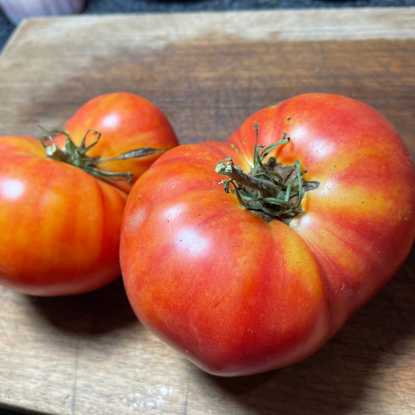 Northern Lights - Graines de tomates - Tomates anciennes - 25+ graines