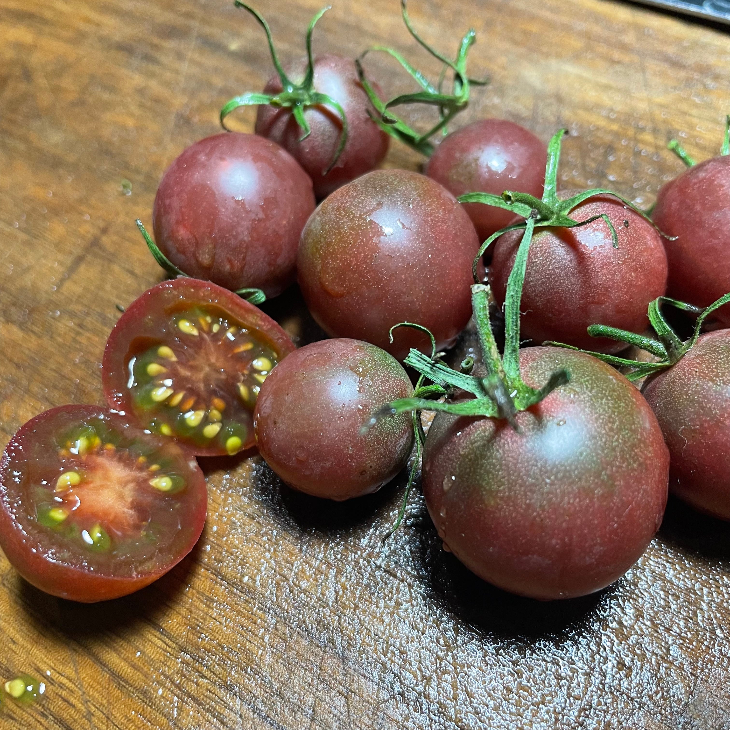 Tomato Seeds – Oak Summit Nursery