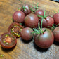 Cerise noire - Graines de tomates - Tomate héritage - 25+ graines