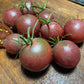 Cerise noire - Graines de tomates - Tomate héritage - 25+ graines