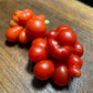 Godzilla - Graines de tomates - Tomates anciennes - 25+ graines