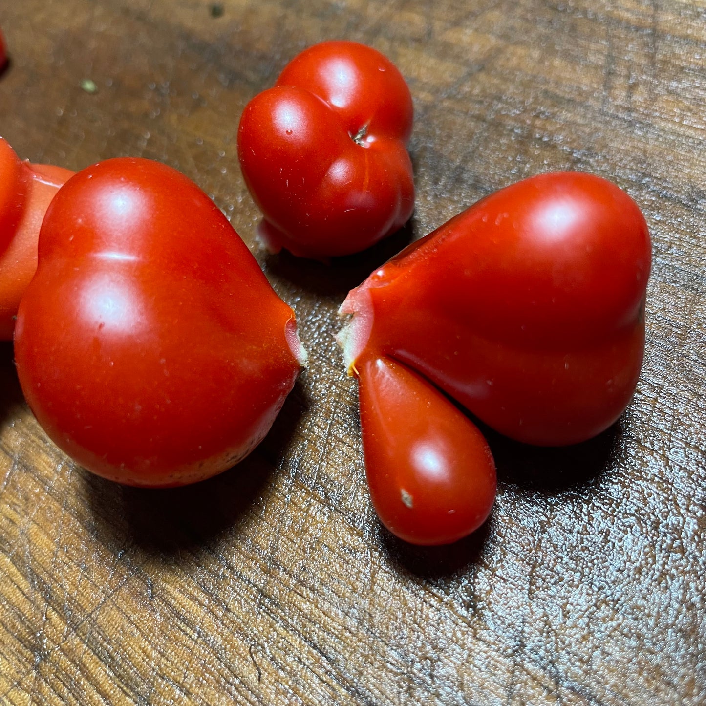 Godzilla - Tomato Seeds - Heirloom Tomato - 25+ Seeds