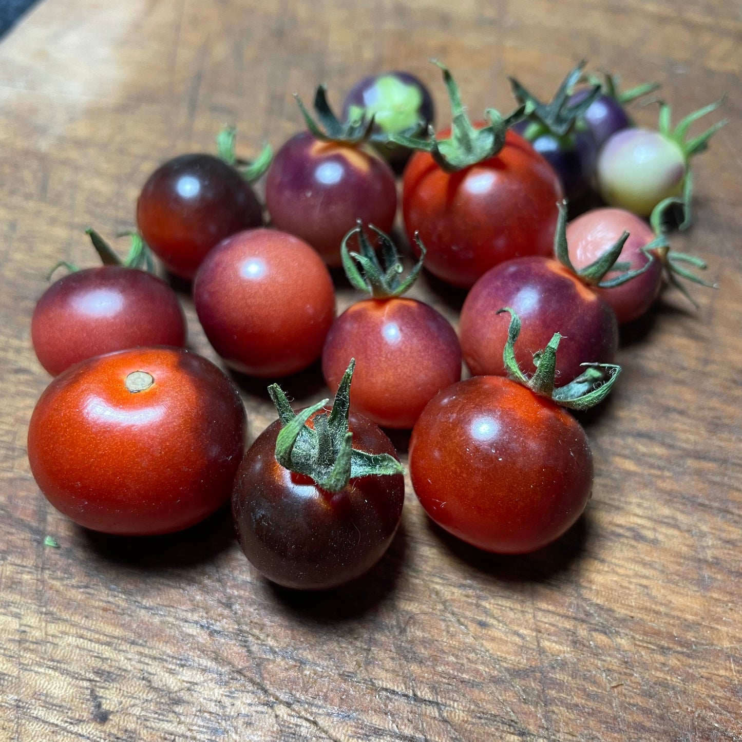Graines de myrtilles et de tomates - Tomates anciennes - 25+ graines