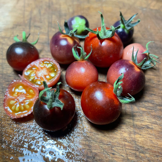 Blueberry - Tomato Seeds - Heirloom Tomato - 25+ Seeds