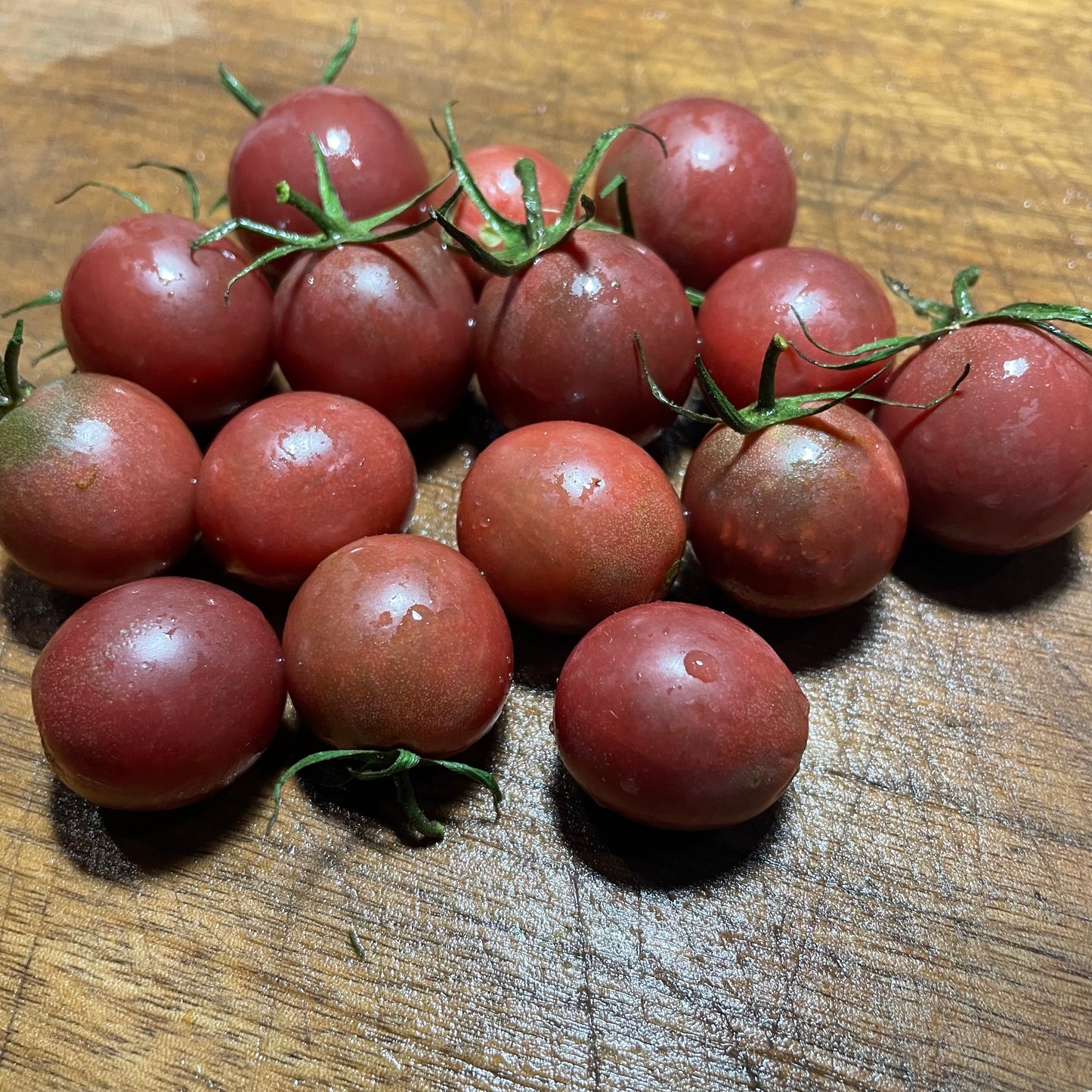 Graines de tomates cerises au chocolat - Tomates anciennes - 25+ graines