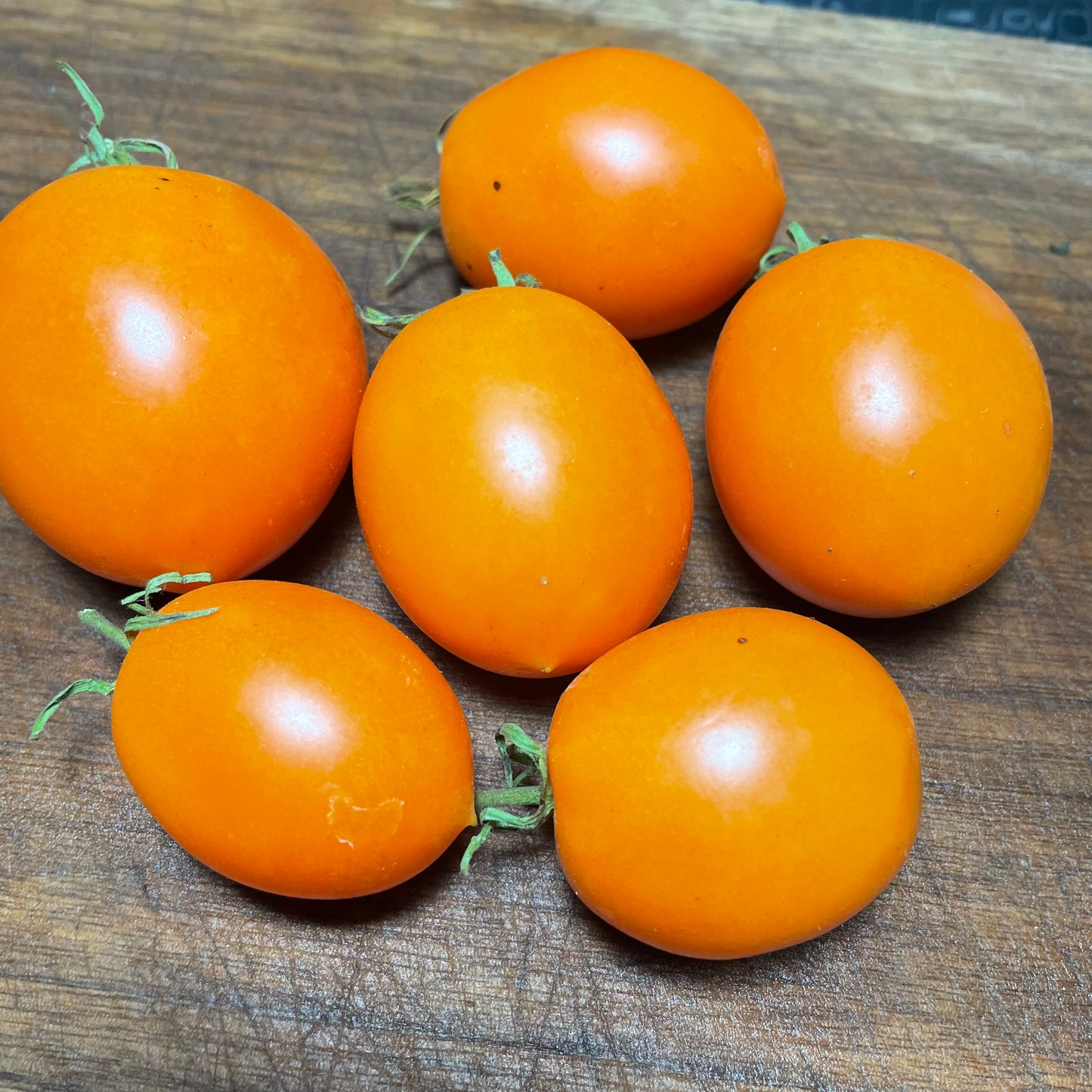 Sun Sugar XL - Graines de tomates - 25+ graines