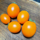 
Sun Sugar XL