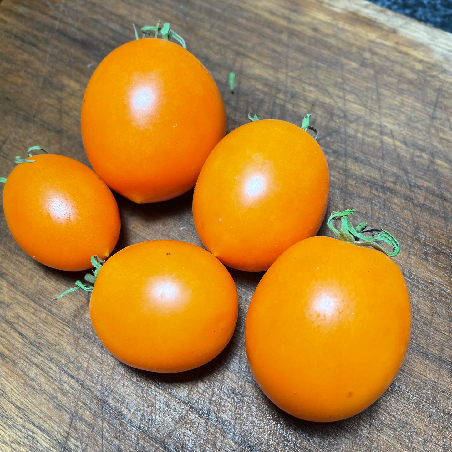 Sun Sugar XL - Graines de tomates - 25+ graines