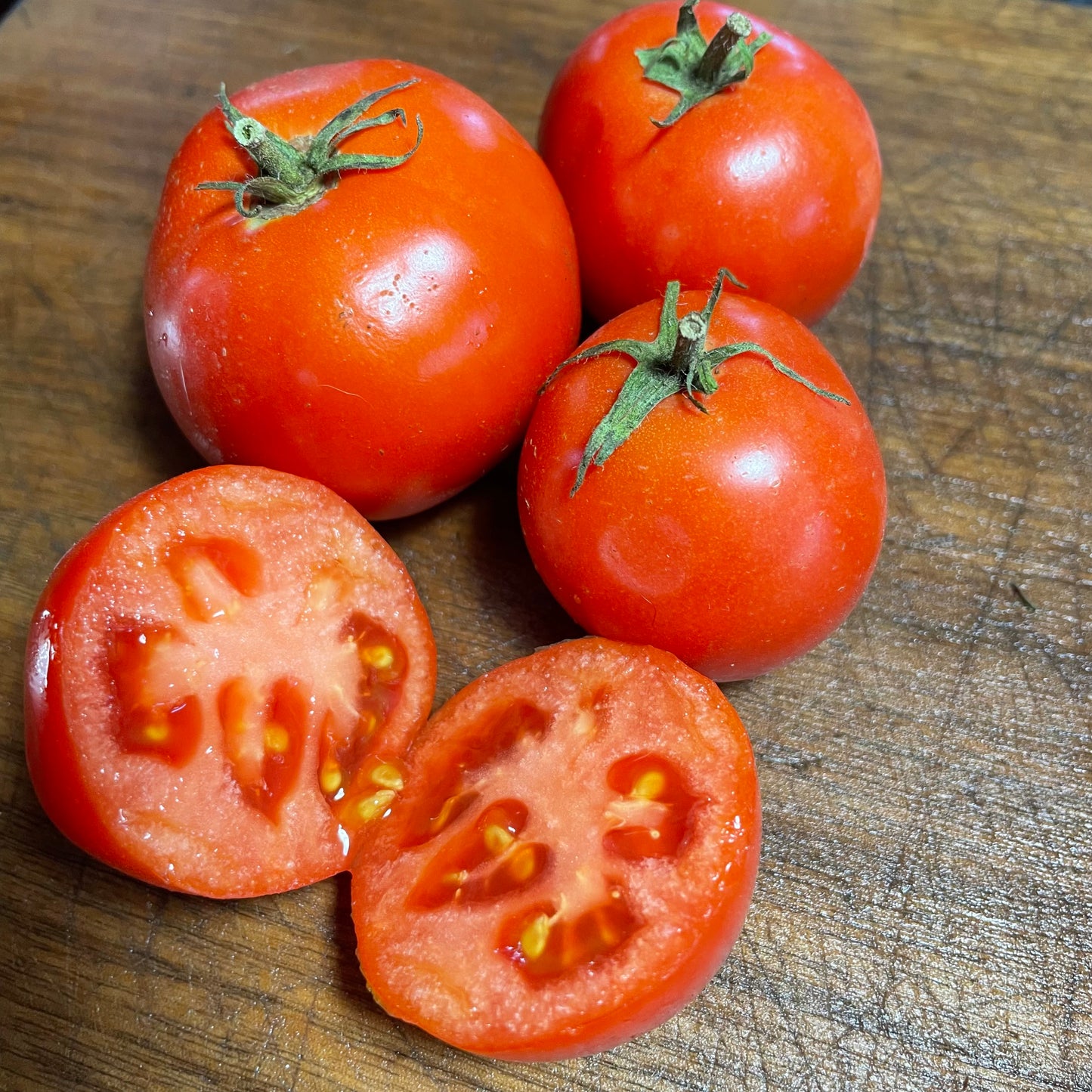 Lida Ukrainian - Tomato Seeds - Heirloom Tomato - 25+ Seeds