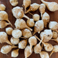 Jerusalem Artichoke Tubers - White - (Helianthus tuberosus)  - (For Seed) - (Zone 3) - 5 Tubers