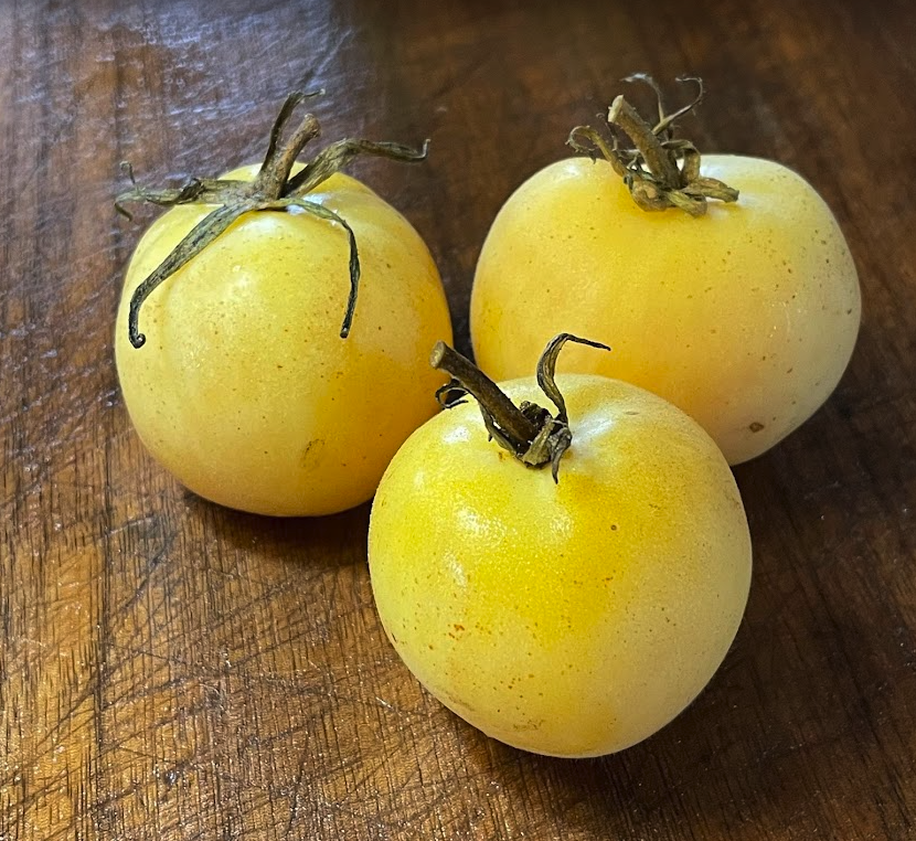 Melocotón de jardín - Semillas de tomate - Tomate reliquia - Más de 25 semillas