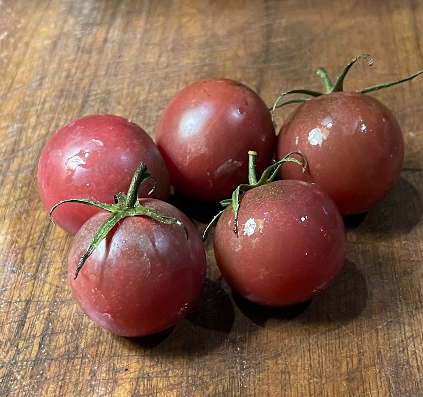 Cereza Negra - Semillas de Tomate - Tomate Heirloom - Más de 25 Semillas