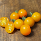 Sun Sugar Tomato Seeds - Cherry Tomato - Open Pollinated - 25+ Seeds