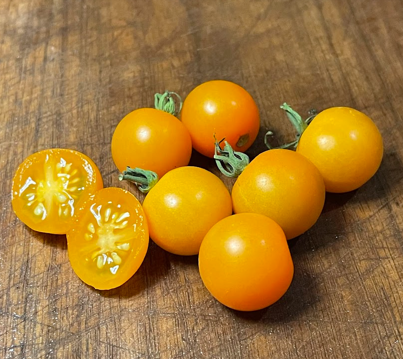 Sun Sugar Tomato Seeds - Cherry Tomato - Open Pollinated - 25+ Seeds