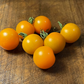 Sun Sugar Tomato Seeds - Cherry Tomato - Open Pollinated - 25+ Seeds