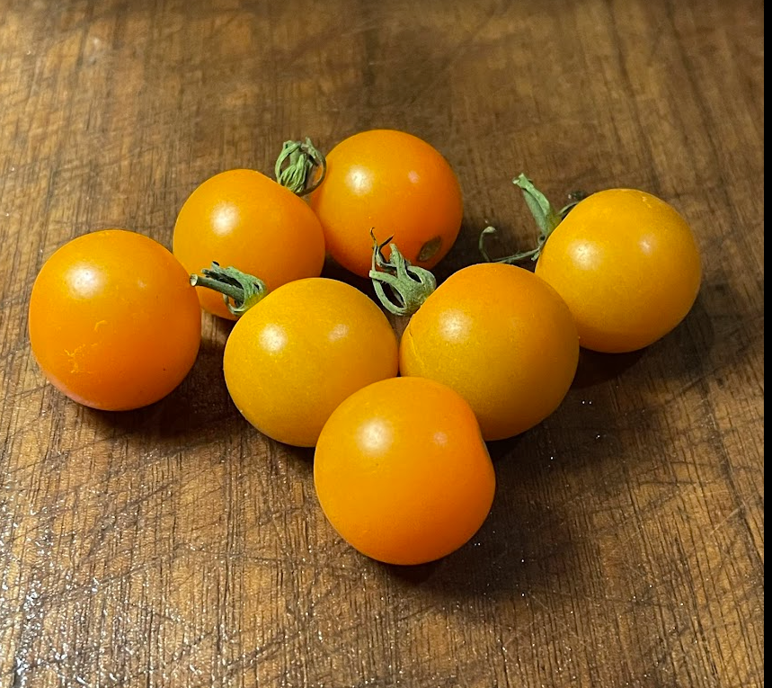 Semillas de tomate Sun Sugar - Tomate cherry - Polinización abierta - Más de 25 semillas