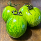 Green Zebra - Tomato Seeds - Heirloom Tomato - 25+ Seeds