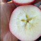 Pommier rose de Hall 