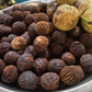 Manitoba Black Walnut (Juglans nigra)