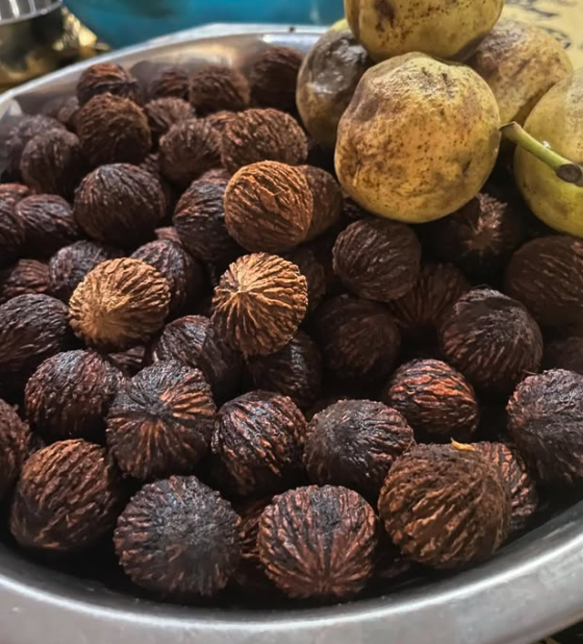 Black Walnut Trees (Juglans nigra)