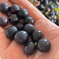Grosella de clavo (Ribes odoratum 'Crandall')- Berry Bush - Más de 100 semillas