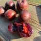 Sapa Cherry Plum (Prunus besseyi x Prunus salicina 'Sapa')