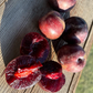 Sapa Cherry Plum (Prunus besseyi x Prunus salicina 'Sapa')