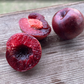 Sapalta Cherry Plum (‘Sapa’ × Prunus sp.)