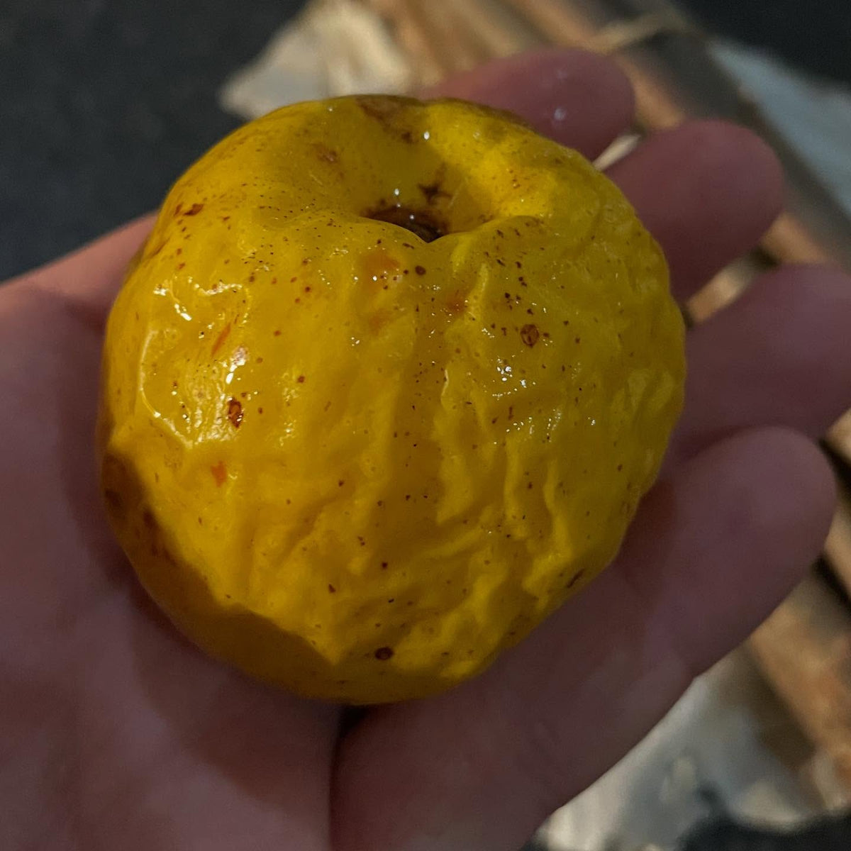 a friend sent me some quince to try, right before the postal strike, image 1 of 2