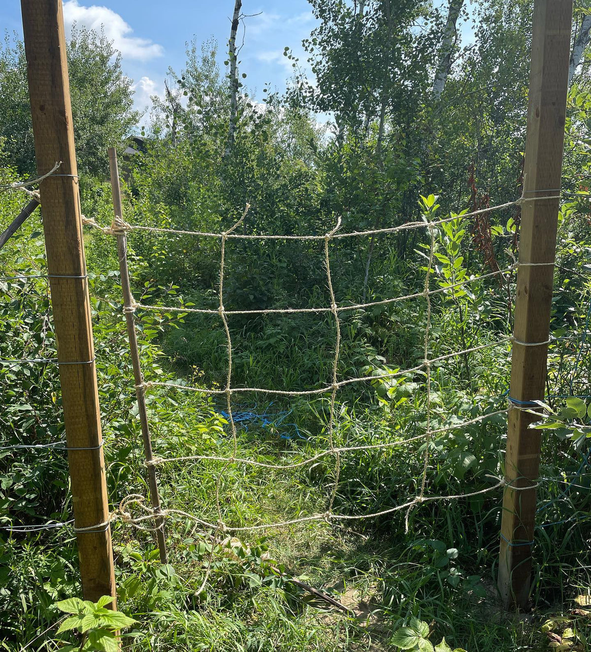 A simple garden gate